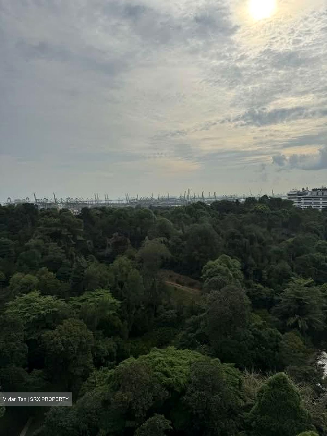 Normanton Park (D5), Apartment #582962391